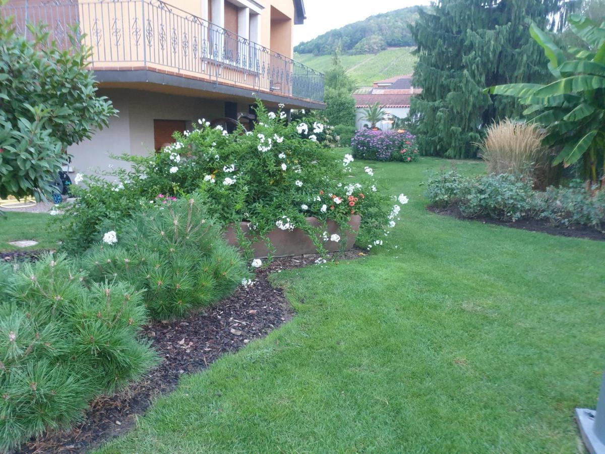 Ferienwohnung La Rocatelle Andlau-au-Val Exterior foto